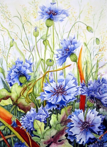 Моне Василёк