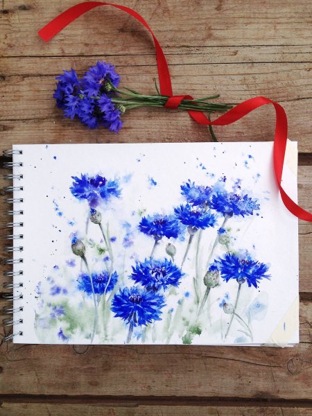 Cornflower Ботанический атлас