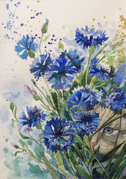 Васильки акварелью