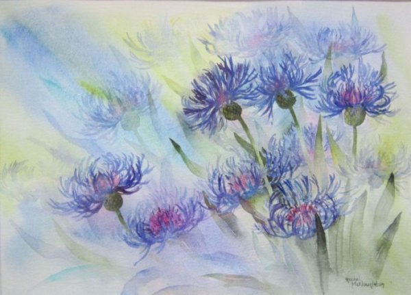 Василек акварель