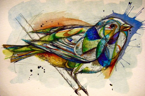 Птица в акварельной технике