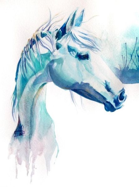Пегас акварель