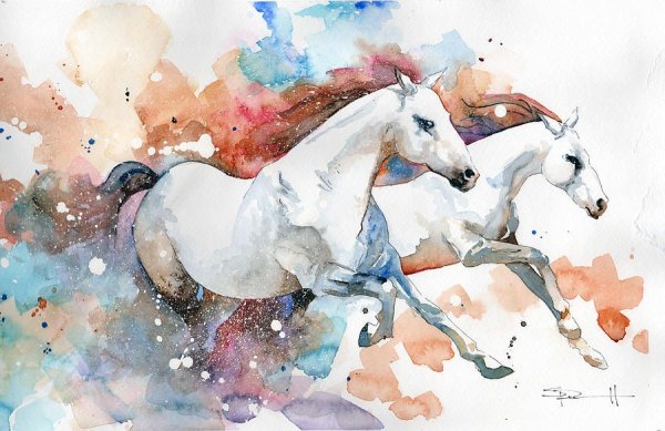 Лошадь акварелью