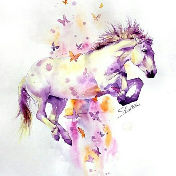 Елена Швед лошади