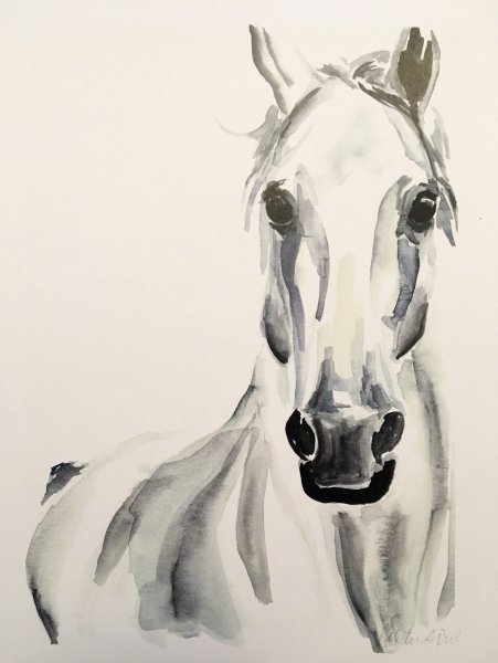 Лошадь акварельными карандашами