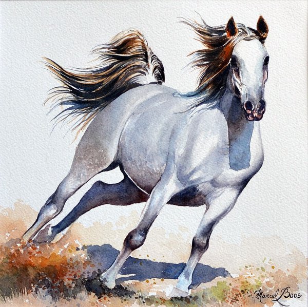 Лошади бегут акварель
