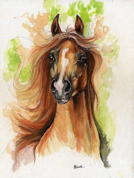Скетчи акварелью лошади