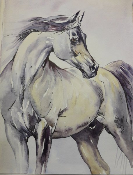 Наброски лошадей