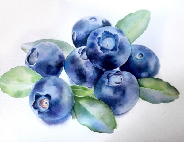 Голубика скетч маркерами