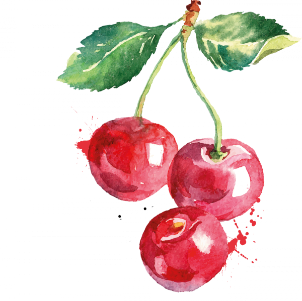 Вишня акварелью