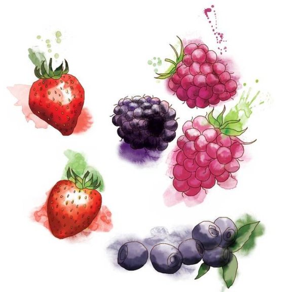 Акварельные рисунки ягоды
