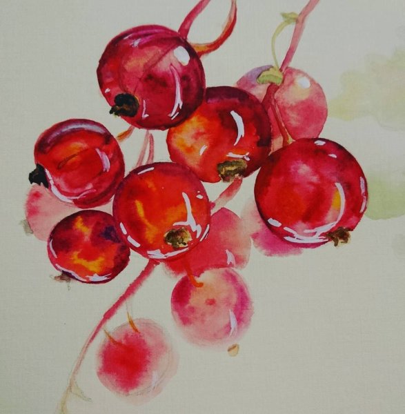 Ягоды смородины акварелью
