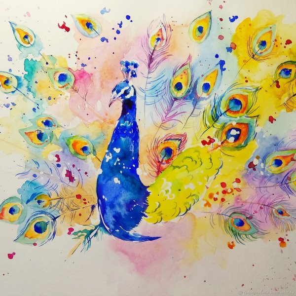 Павлин акварелью