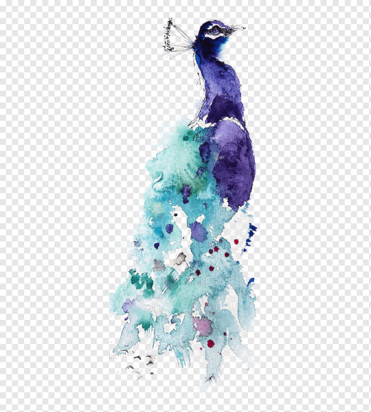 Павлин акварелью