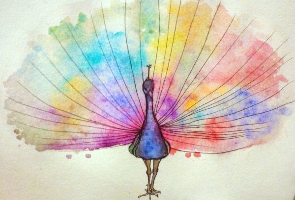 Павлин фломастерами