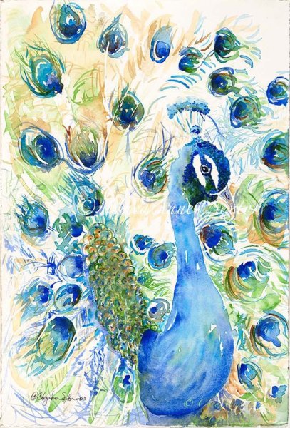 Акварельный Павлин