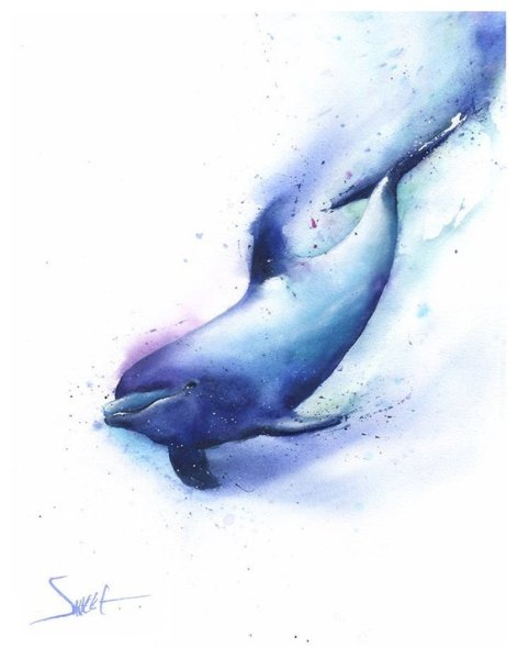 Дельфины акварелью