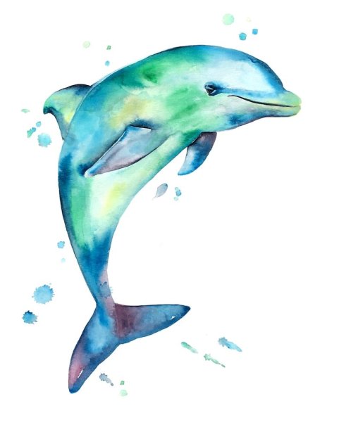 Дельфины акварелью