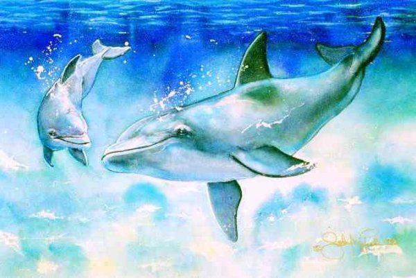Дельфины акварелью