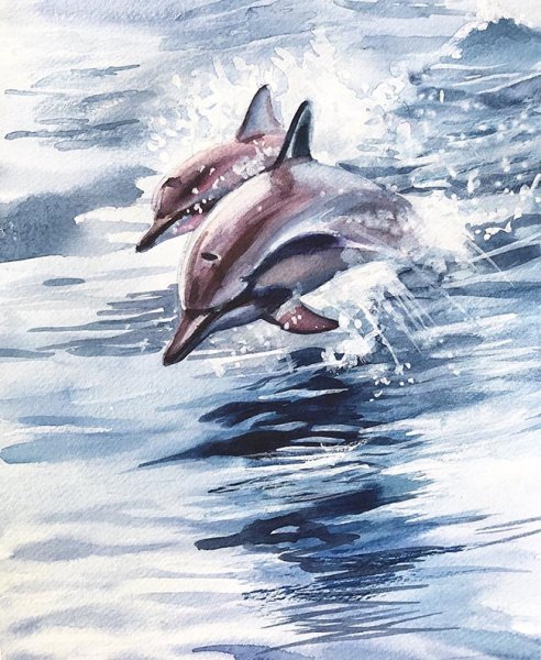 Морские животные рисунки карандашом акварельным