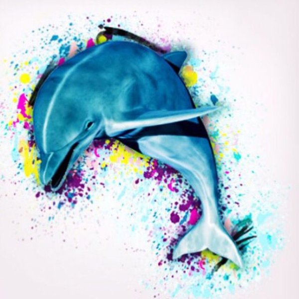 Дельфины акварелью