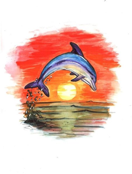 Дельфин рисунок акварелью