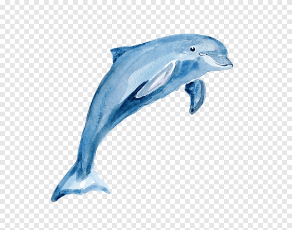 Дельфины в море акварель