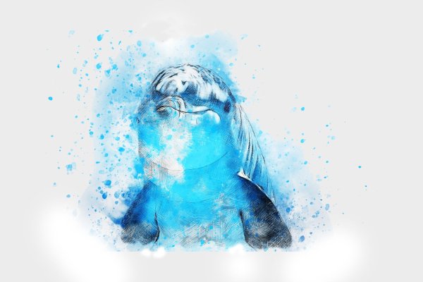 Рисунок дельфина в цвете