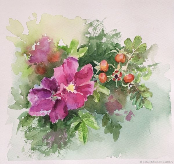 Цветы шиповника акварель