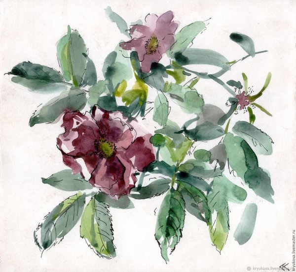 Куст шиповника акварель