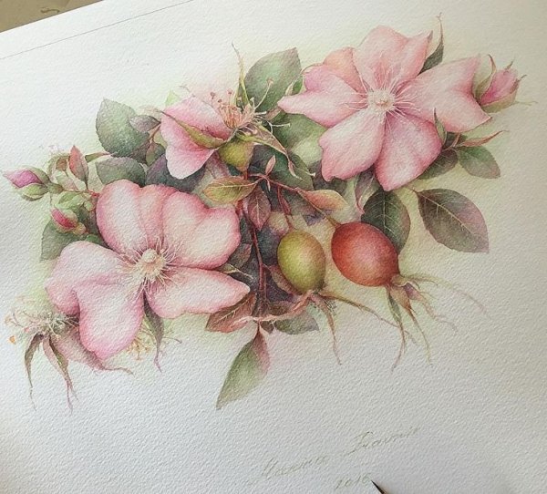 Художник Marina pravnik