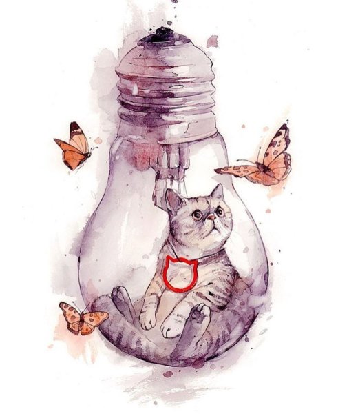 Лампочка с космосом внутри