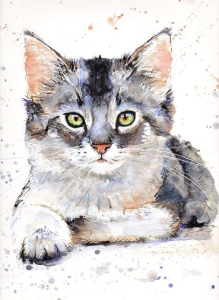 Коты акварелью