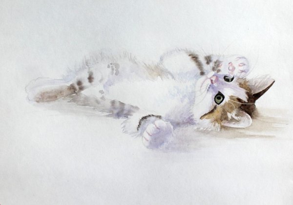 Елена Базанова кошки