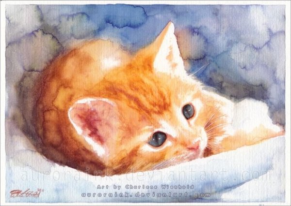Рыжий котенок акварель