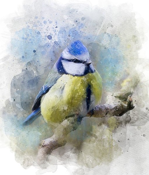 Акварельные синички