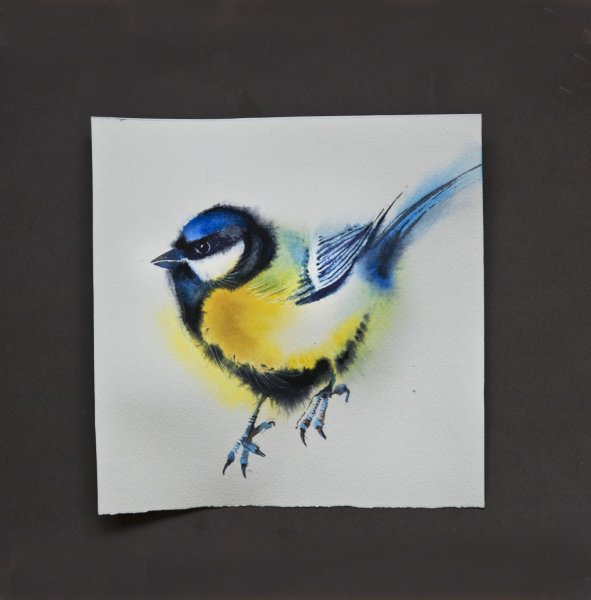 Синица гуашью