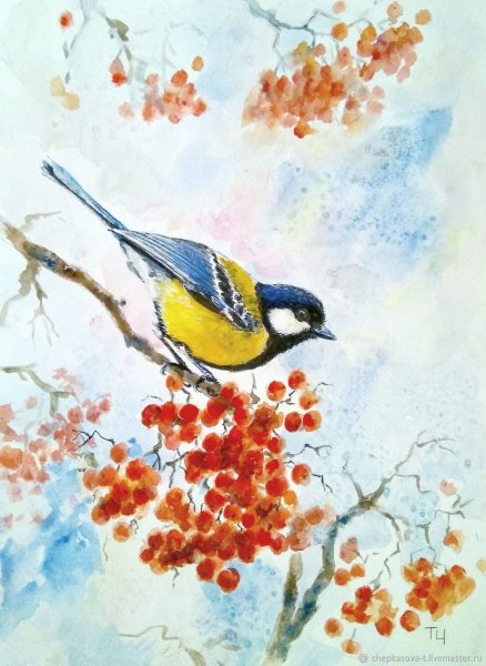Синица лазоревка акварелью