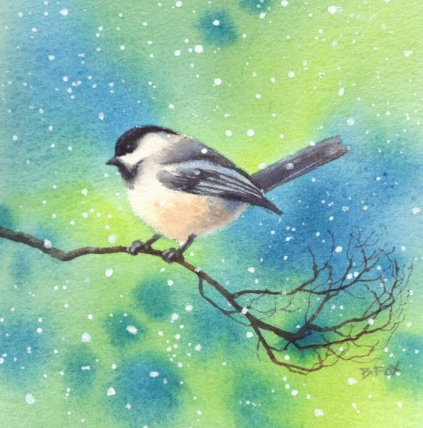 Барбара Фокс акварель птички