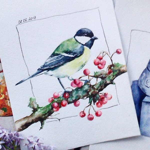 Синица скетч