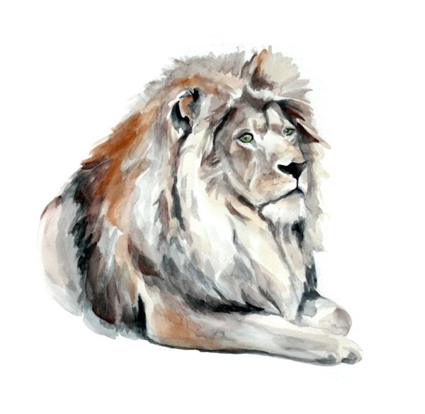 Лев акварелью морда