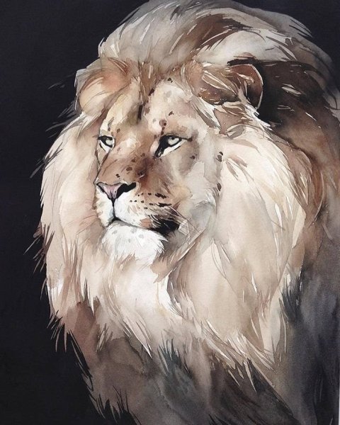 Kadantseva Natalia Лев