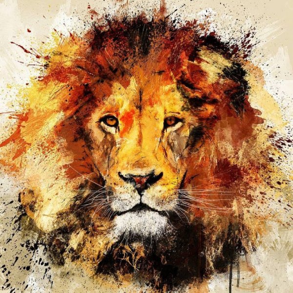 Лев морда яркая