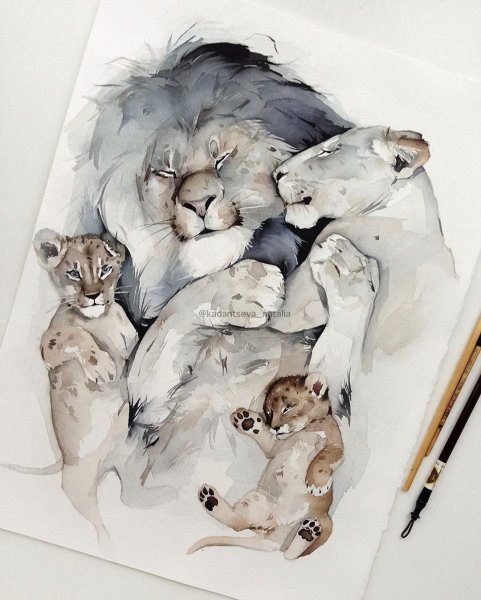 Наталья Каданцева акварель животные