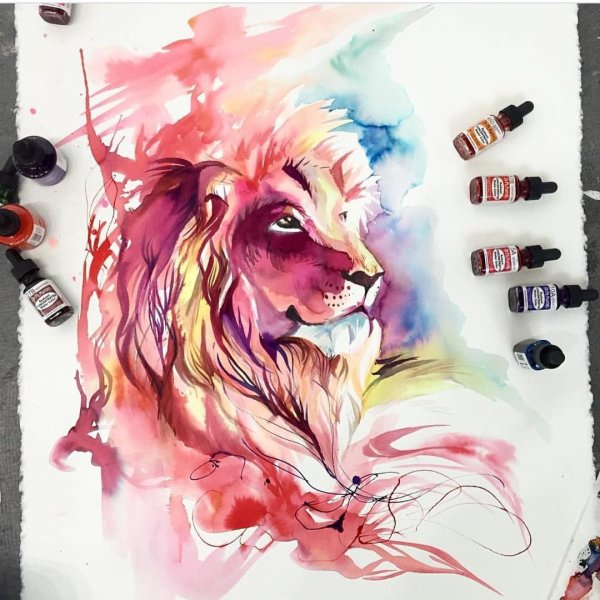 Волки Кэти Липскомб