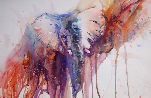 Акварели художника Jean haines