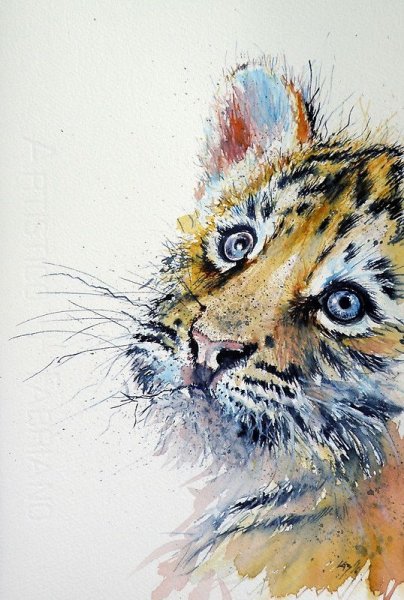 Тигр акварель