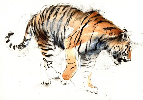 Тигра акварелью в. полный рост