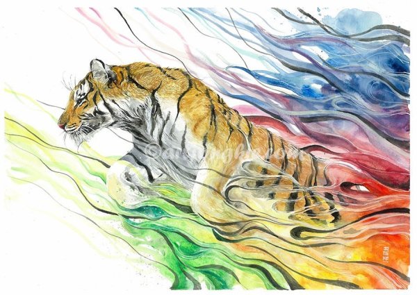 Тигр иллюстрация акварель