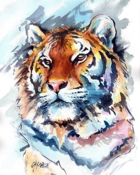 Тигр акварельными карандашами